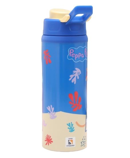 Striders Steel Sipper Water Bottle 500ml-LunchBox & Water Bottles-Striders-Toycra