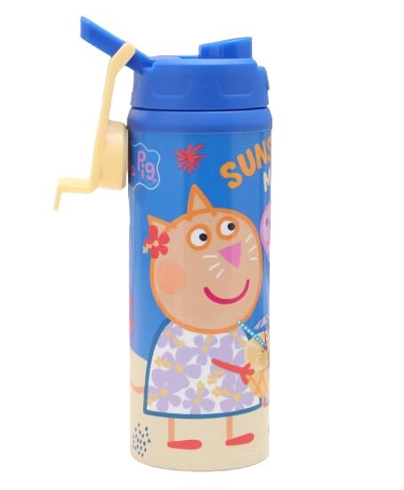 Striders Steel Sipper Water Bottle 500ml-LunchBox & Water Bottles-Striders-Toycra