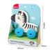 Sunta Push & Play Animal-Active Play-Sunta-Toycra