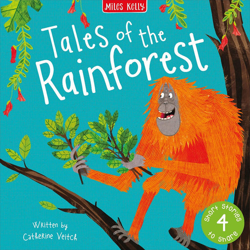 Tales Of The Rainforest-Story Books-SBC-Toycra