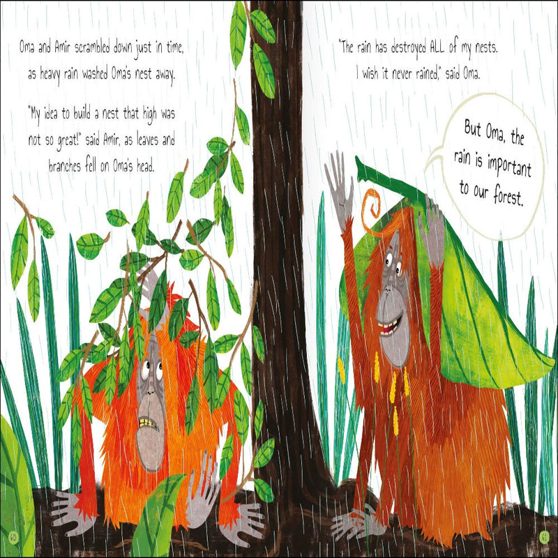 Tales Of The Rainforest