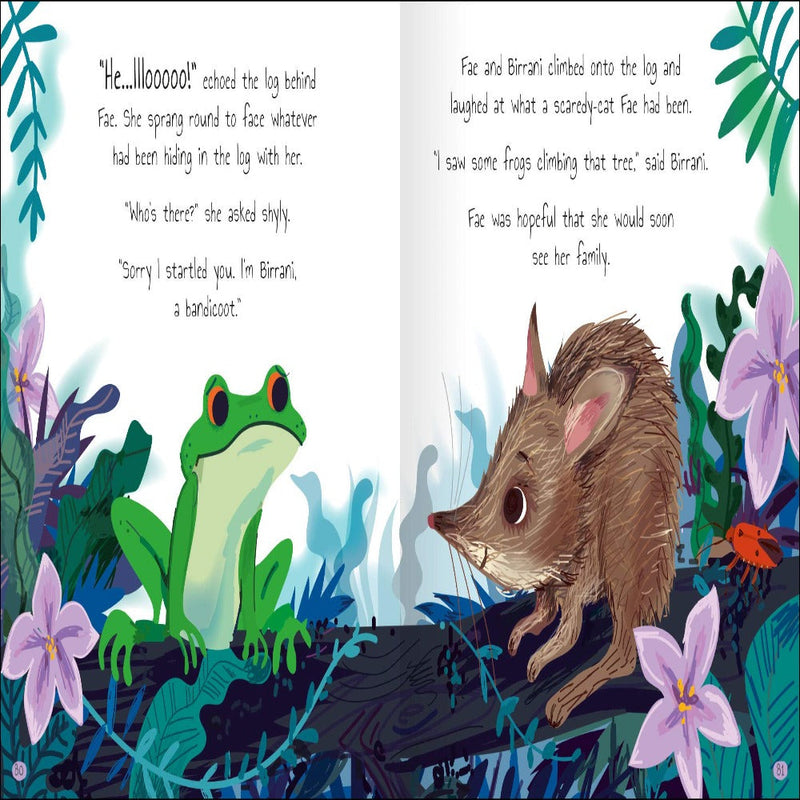 Tales Of The Rainforest
