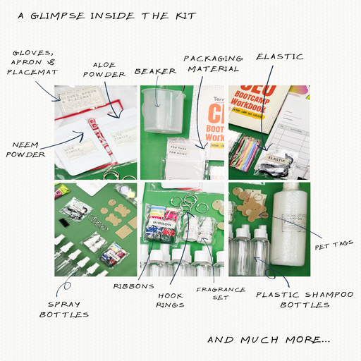 Terri Beri Ceo Bootcamp Pet Care Edition Learning Activity Kit