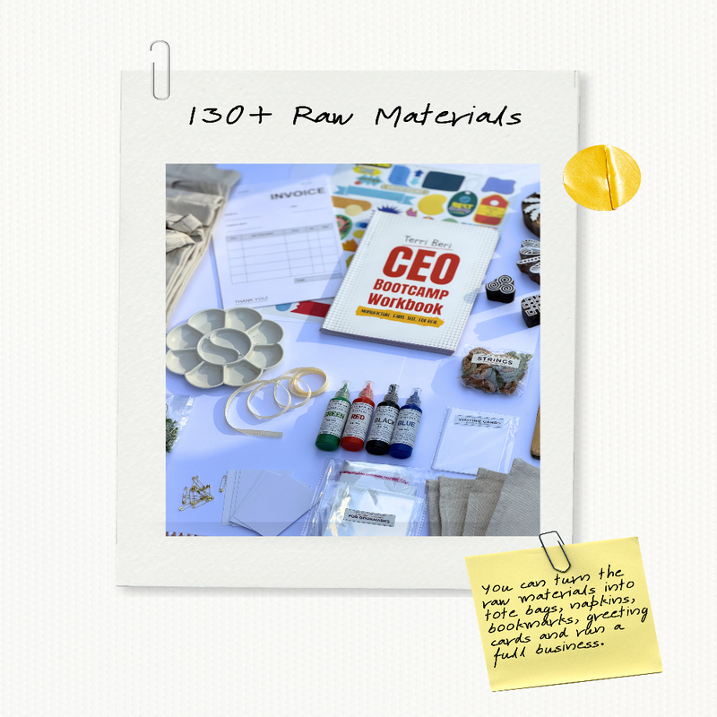 Terri Beri Ceo Bootcamp Sustainability Edition Learning Activity Kit