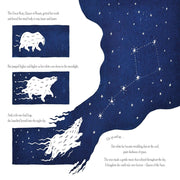 The Bear In The Stars