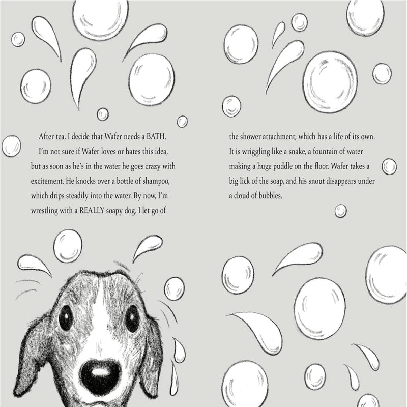 The Dog Squad Books