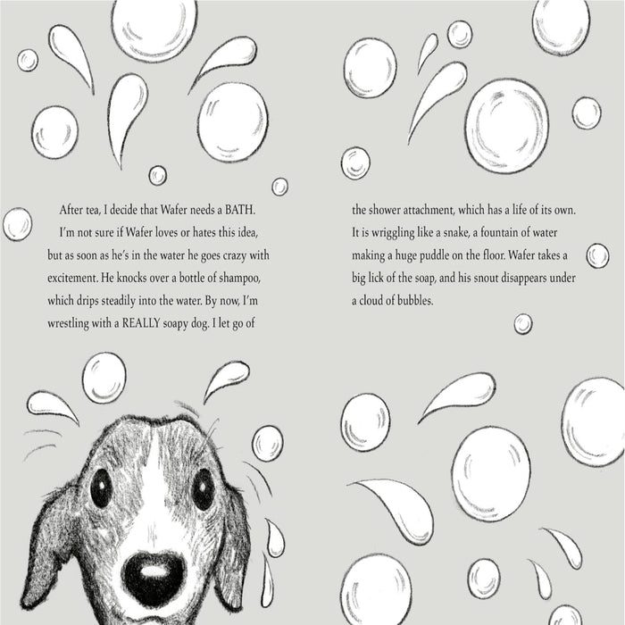 The Dog Squad Books-Story Books-Hc-Toycra