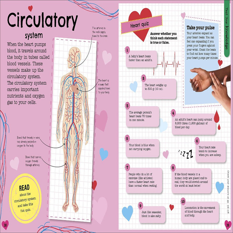 The Fact-Packed Activity Book: Human Body