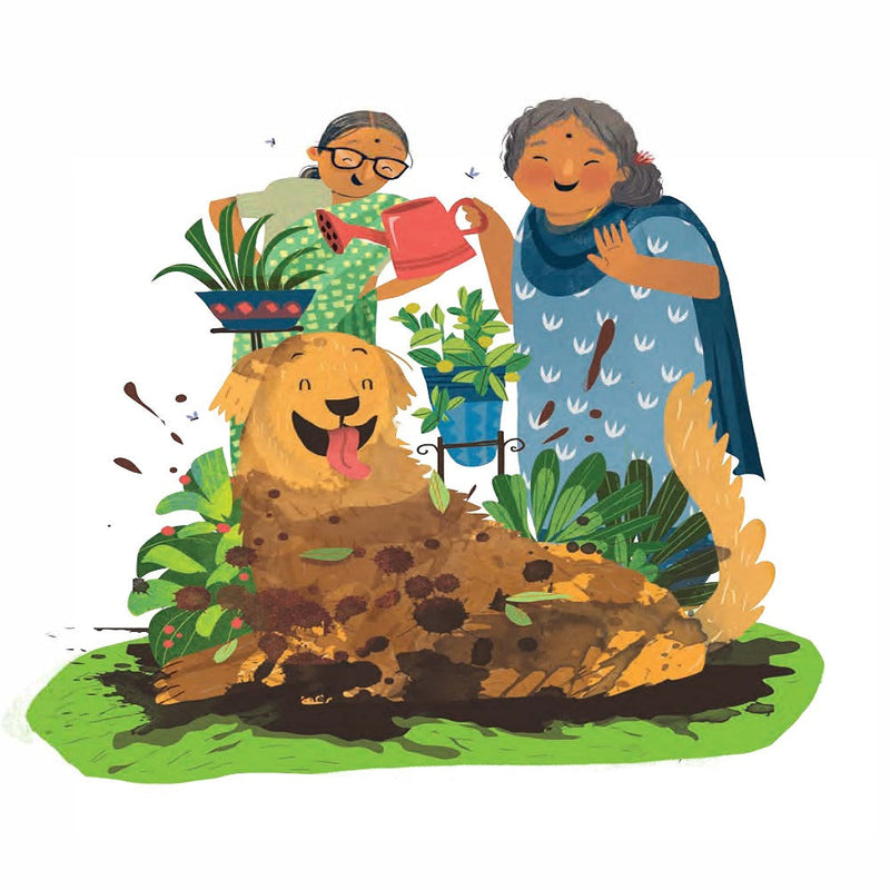 The Gopi Diaries Growing Up By Sudha Murty
