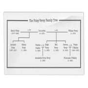 The Ministry Of Unladylike Activity