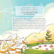 The Navagrahas Nine Celestial Bodies