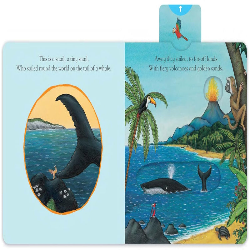 The Snail And The Whale-Board Book