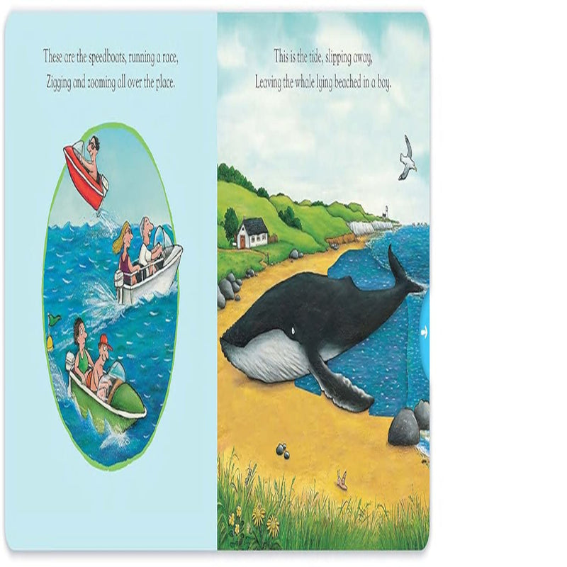 The Snail And The Whale-Board Book