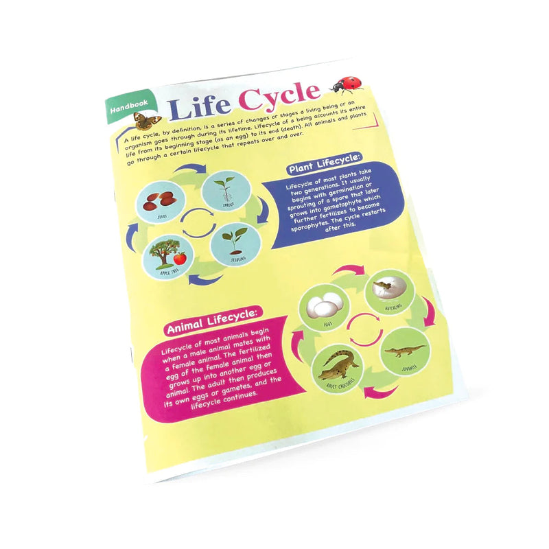 The Ultimate Life Cycle Box Set