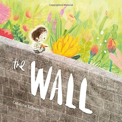 The Wall-Picture Book-SBC-Toycra