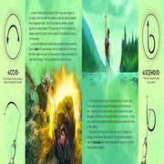The Wand Chooses The Wizard (Harry Potter)