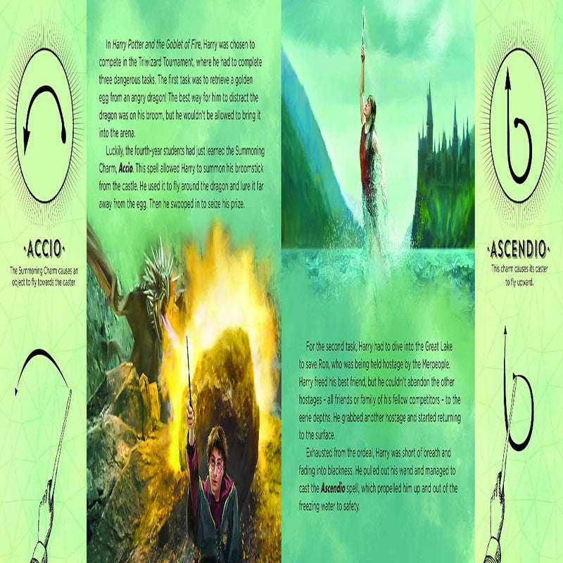 The Wand Chooses The Wizard (Harry Potter)