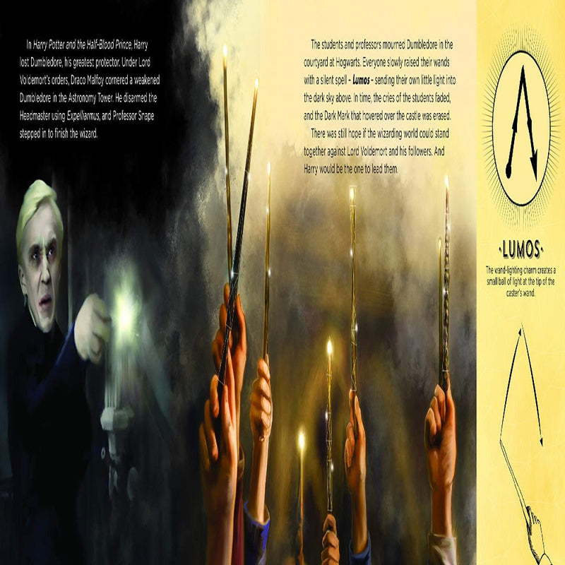 The Wand Chooses The Wizard (Harry Potter)