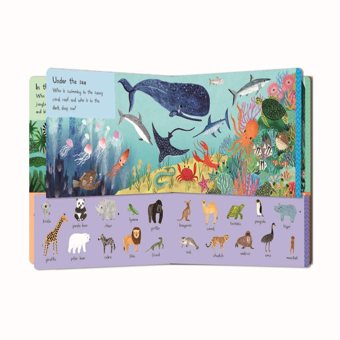 There Are 101 Animals In This Book-Board Book-Pan-Toycra