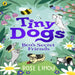 Tiny Dogs Bea's Secret Friends-Story Books-Prh-Toycra