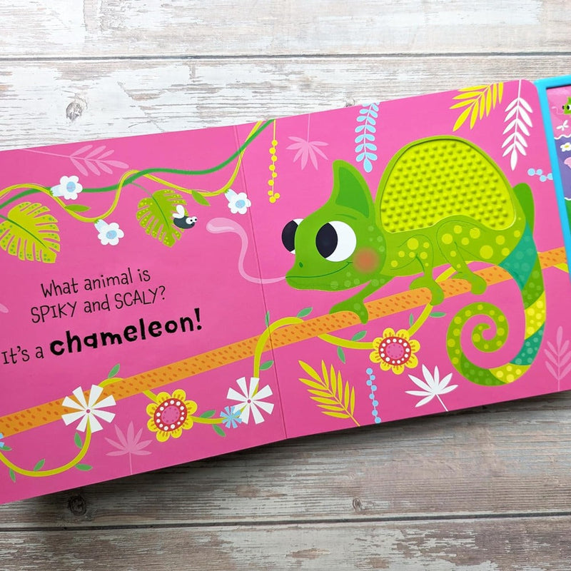 Touch And Feel Books With Sounds
