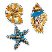 ToyKraftt DIY Seashell Fridge Magnet Making Kit