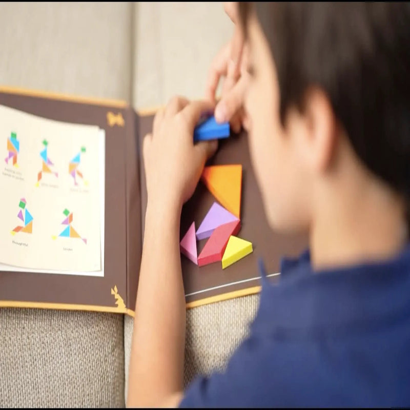 ToyKraftt Tangram Junior Magnetic Puzzle
