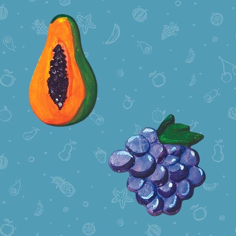 Toykraft Mould & Paint Fruit Magnets