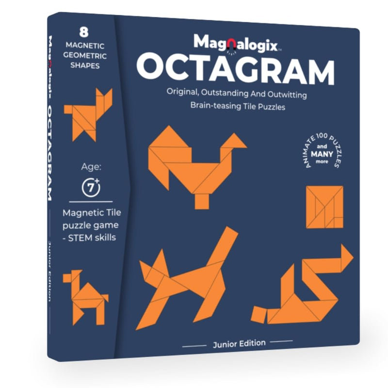 Toykraft Octagram Magnetic Puzzle Game