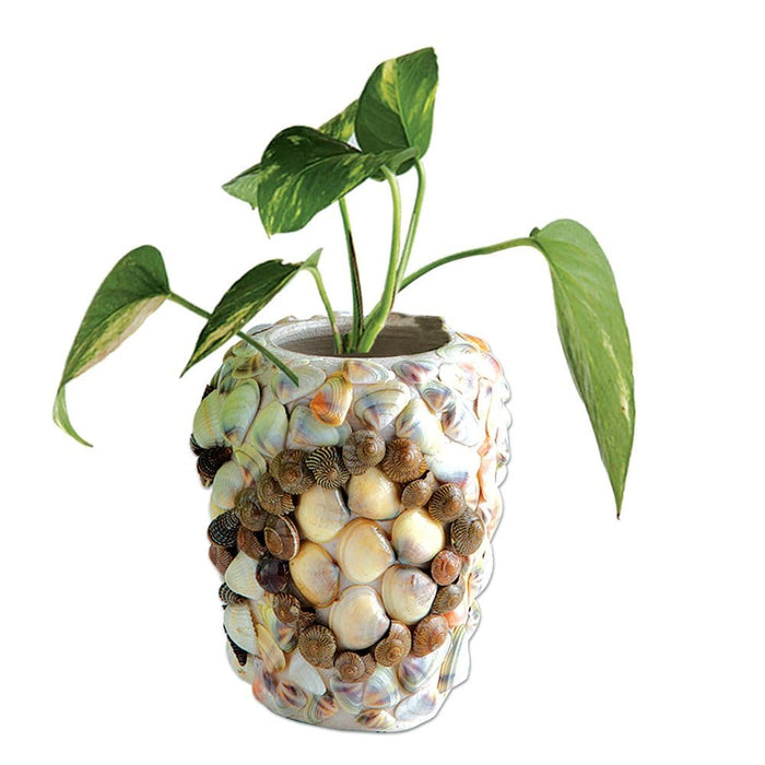 Toykraft Seashells Display Decors DIY Kit-Arts & Crafts-Toykraftt-Toycra