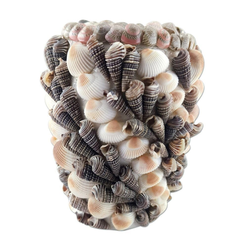 Toykraft Seashells Display Decors DIY Kit