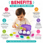 Toymate Smarty Eggs Matching Puzzle Eggs