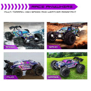 Tygatec Supersonic High Speed Hobby Grade Rc Car - Multi Colour