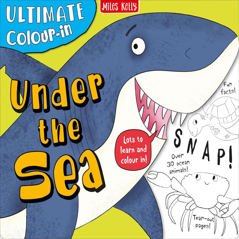 Ultimate Colour In Colouring Pads