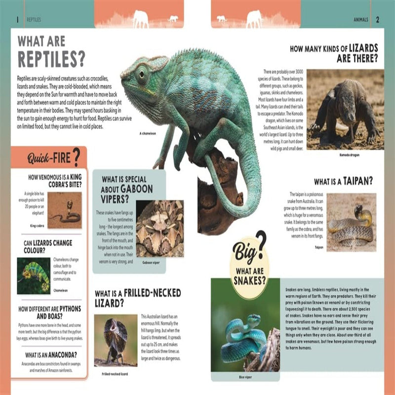 Ultimate Questions & Answers