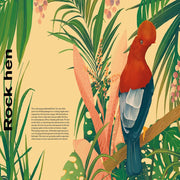 Undercover Birds