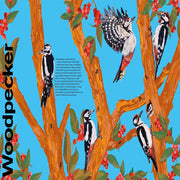 Undercover Birds
