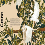Undercover Birds