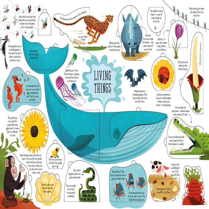Usborne Lift-The-Flap General Knowledge
