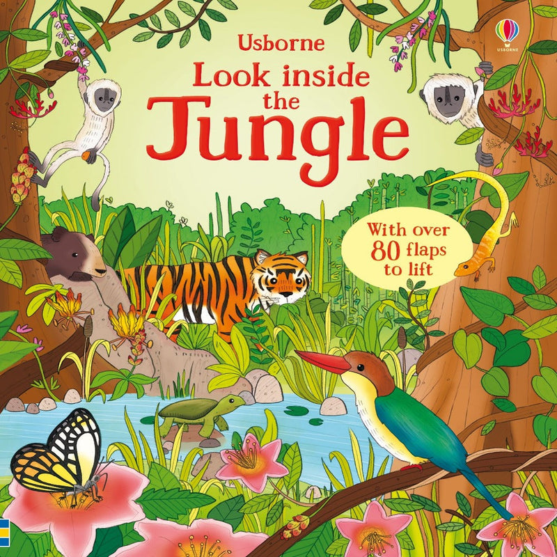Usborne Look Inside