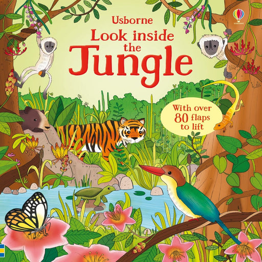 Usborne Look Inside