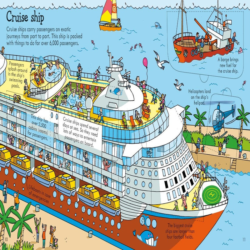 Usborne Look Inside