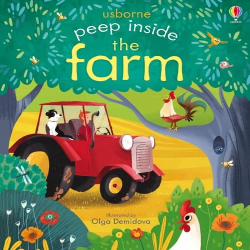 Usborne Peep Inside Book