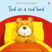 Usborne Phonics Readers Story Book