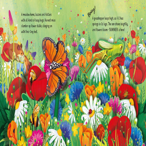 Usborne Pop-Up Books