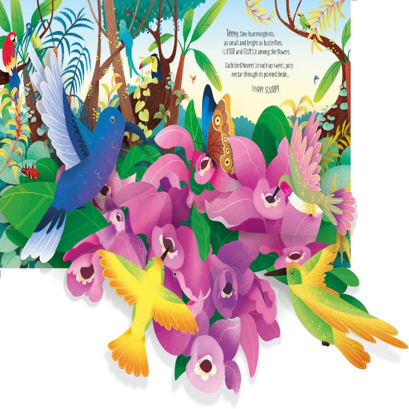 Usborne Pop-Up Books