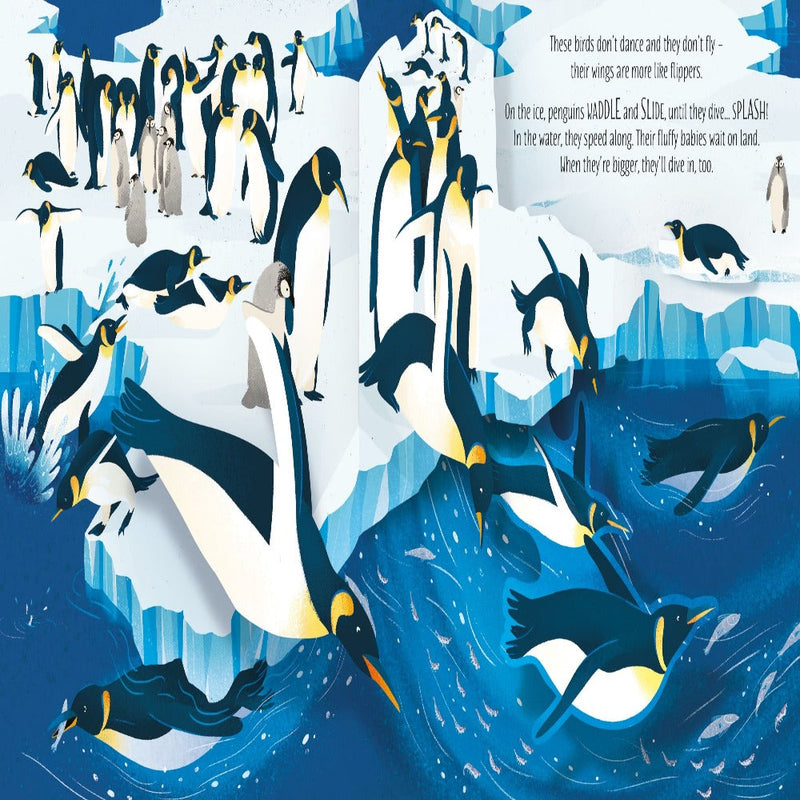 Usborne Pop-Up Books