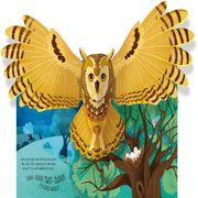 Usborne Pop-Up Books