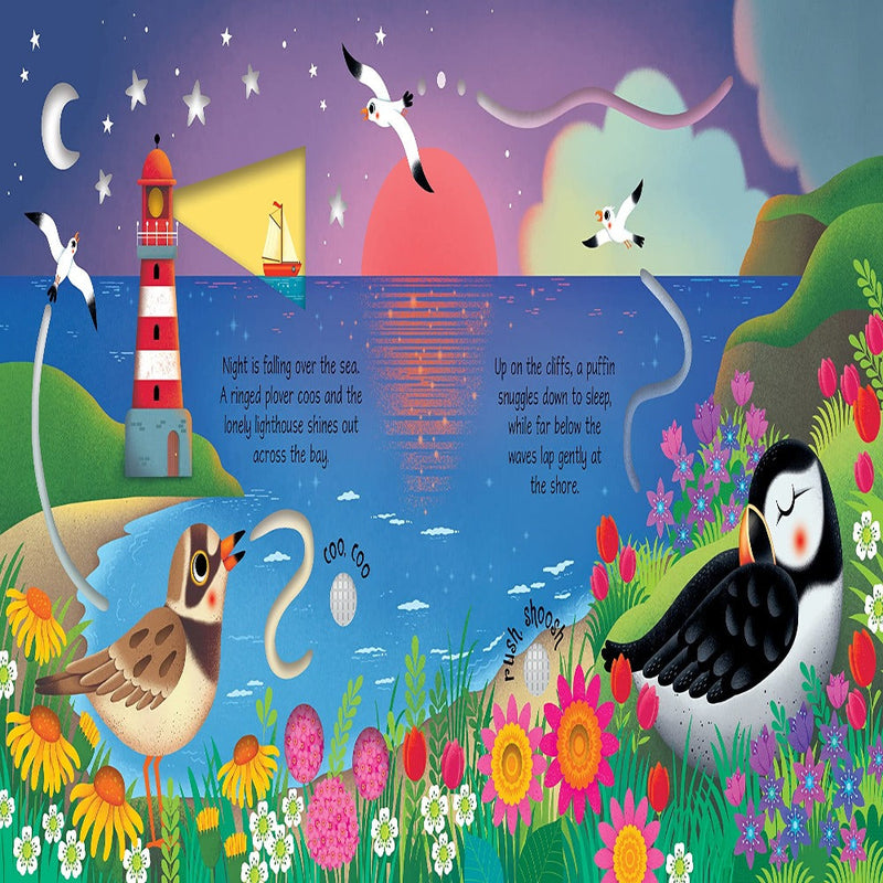 Usborne Seashore Sounds