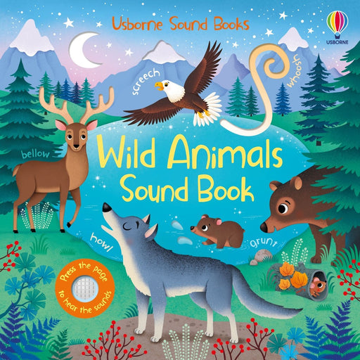 Usborne Sound Books-Sound Book-Usb-Toycra